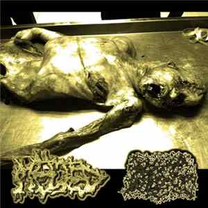 Melted , Hepatitis A In The Water - Split FLAC