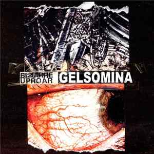 Bizarre Uproar - Gelsomina - 2007-2008 FLAC