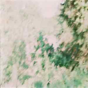 Lucy Stoner - The Mirror Is A Personal Hell FLAC