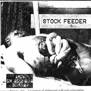 Stock Feeder - Laceration Of Abdominal Wall And Evisceration FLAC