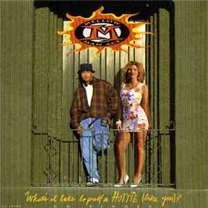 Mellow Man Ace - What's It Take To Pull A Hottie (Like You)? FLAC