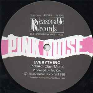 Pink Noise - Everything / Move For You / Ghosts FLAC