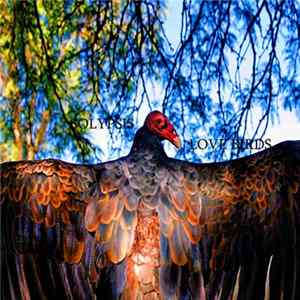 Solypsis - Love Birds FLAC