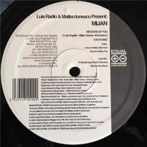 Luis Radio & Matteo Ionescu Present: Mijan - Because Of You FLAC