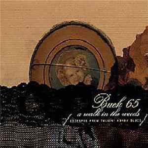 Buck 65 - Wicked And Weird FLAC