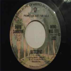 David Sanborn - Butterfat FLAC