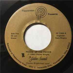 The Golden Sounds - Pickin' Up The Pieces FLAC