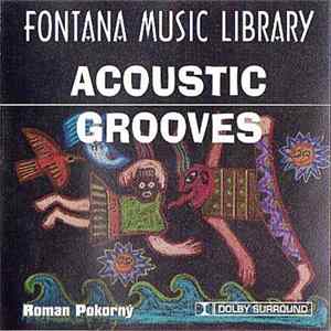 Roman Pokorný - Acoustic Grooves 1 FLAC