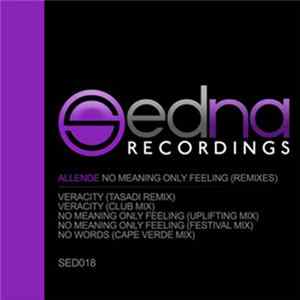 Allende - No Meaning Only Feeling (Remixes) FLAC