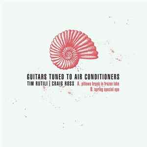 Tim Rutili | Craig Ross - Guitars Tuned To Air Conditioners FLAC