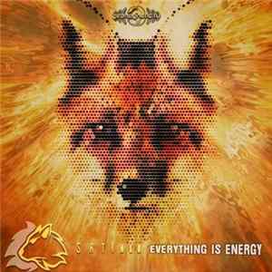 Satinka - Everything Is Energy FLAC