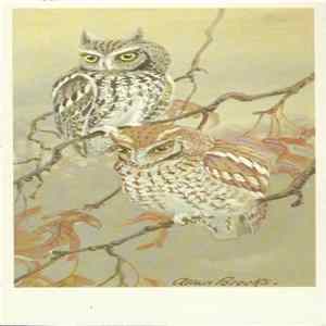 No Artist - Screech Owl FLAC