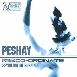 Peshay - You Got Me Burning / Fuzion FLAC