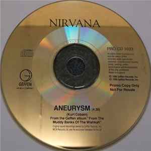 Nirvana - Aneurysm FLAC