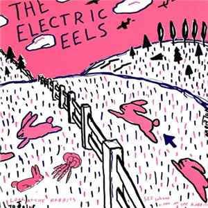 Electric Eels - Spin Age Blasters / Bunnies FLAC