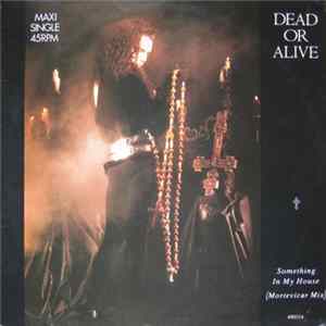 Dead Or Alive - Something In My House (Mortevicar Mix) FLAC