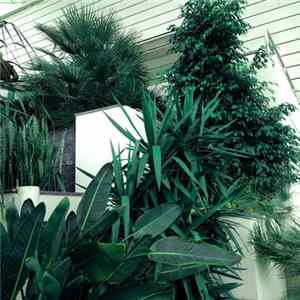 Valvan - Green FLAC