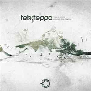 Teksteppa - China White / Unsure RIght Now FLAC