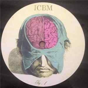 ICBM - Fig. 1 FLAC