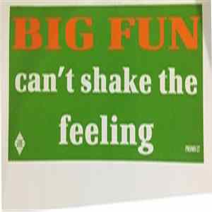 Big Fun - Can't Shake The Feeling FLAC