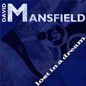 David Mansfield - Lost In A Dream FLAC