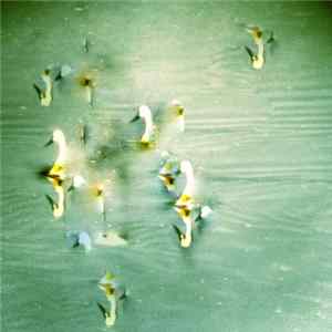 Scaphe - Long Way Down FLAC