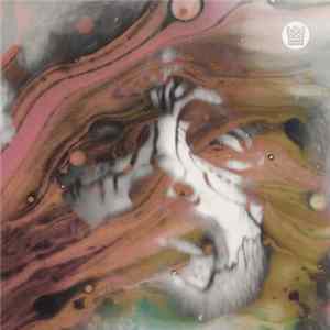 El Michels Affair Feat. The Shacks - Strange Boy FLAC