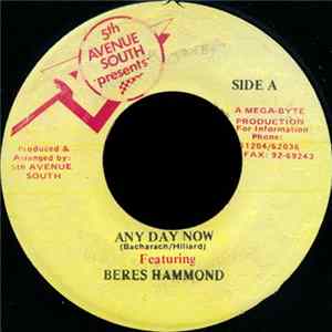 Beres Hammond - Any Day Now FLAC