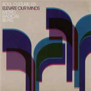 Various - Soul Culture: 03 - Elevate Our Minds - Metro Radical Beats FLAC