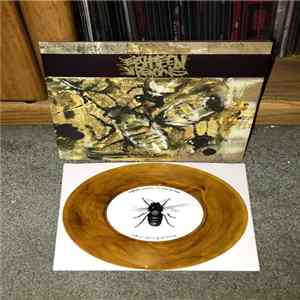 Eighteen Visions - No Time For Love FLAC