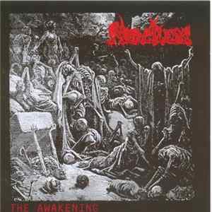 Merciless - The Awakening FLAC