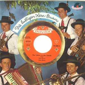 Kern Buam - Der Lehrer In Der Schule / Wetzstein-Polka FLAC