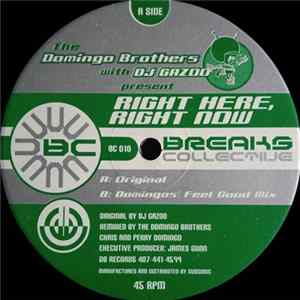 DJ Gazoo - Right Here, Right Now FLAC