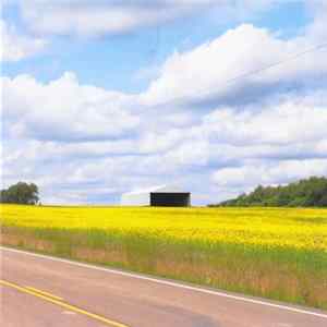 Kilometre - Songs For Metamerism FLAC