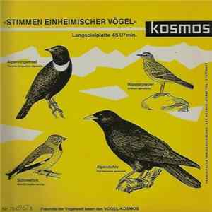 A. Ausobsky - Stimmen Einheimischer Vögel FLAC