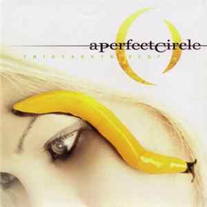 A Perfect Circle - Thirteenth Step FLAC