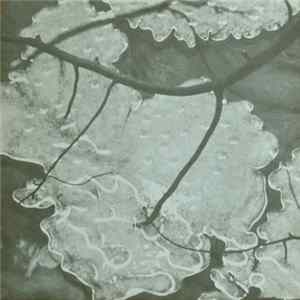 M.B. - Armaghedon FLAC