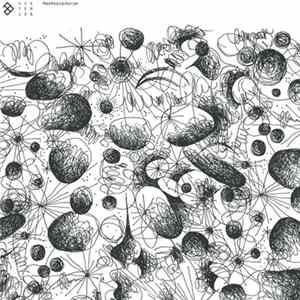 Mashkov & Aurum - AFR / Tronic FLAC