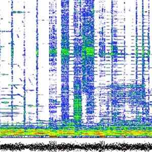 Fernando Lagreca - Particelle FLAC