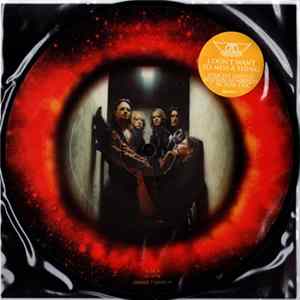Aerosmith - I Don't Want To Miss A Thing FLAC