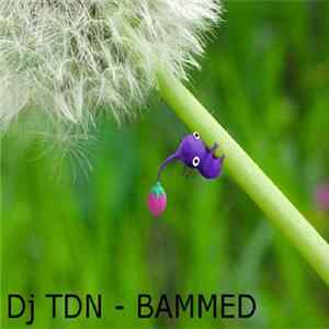 Dj Tdn - Bammed FLAC
