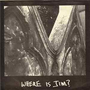 Eleventh Dream Day - Where Is Jim? FLAC
