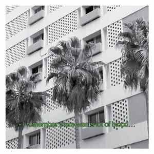 The Bunny Tylers - Glitches & Drones 2013-2016 FLAC