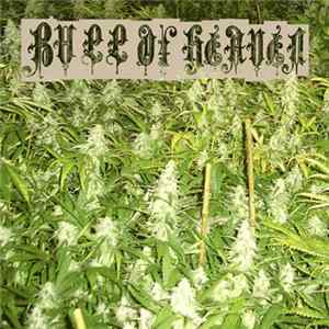 Bull Of Heaven - Weed Problem FLAC