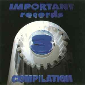 Various - Important Compilation #3 FLAC