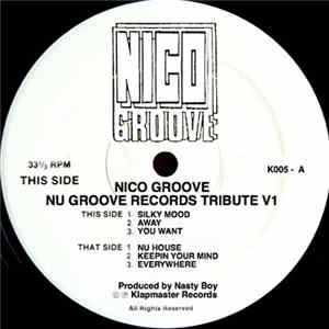 Nico Groove - Nu Groove Records Tribute V1 FLAC