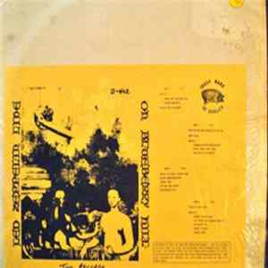 Led Zeppelin - Live On Blueberry Hill FLAC
