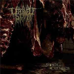 Deformed Slut - Stench Of Carnage FLAC