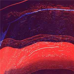 Bradien + Eduard Escoffet - Polsim FLAC