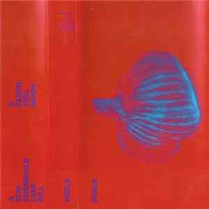 PEELS - Untitled (garlic) FLAC